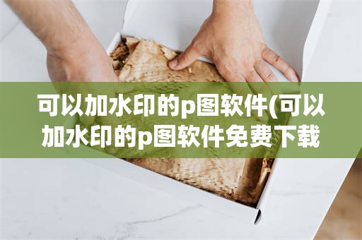 可以加水印的p图软件(可以加水印的p图软件免费下载)