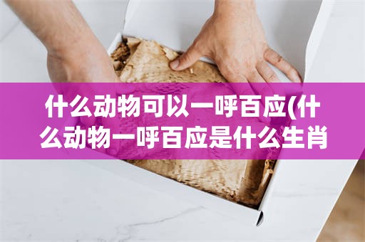 什么动物可以一呼百应(什么动物一呼百应是什么生肖)