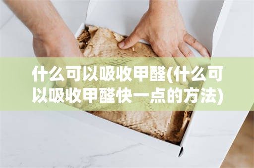 什么可以吸收甲醛(什么可以吸收甲醛快一点的方法)