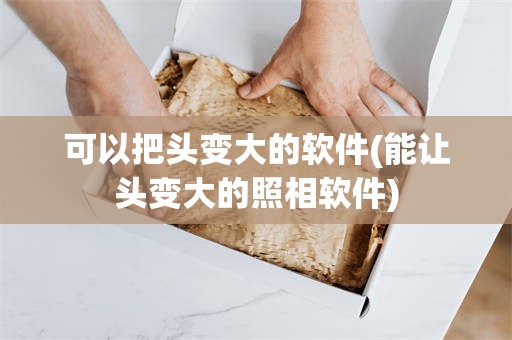 可以把头变大的软件(能让头变大的照相软件)