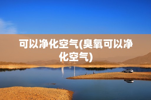 可以净化空气(臭氧可以净化空气)