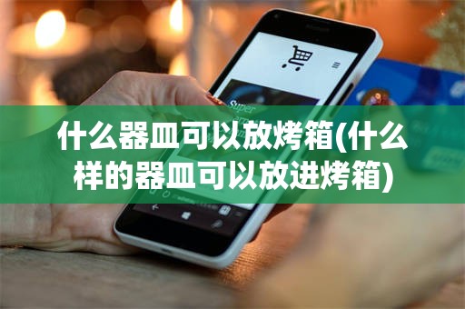 什么器皿可以放烤箱(什么样的器皿可以放进烤箱)