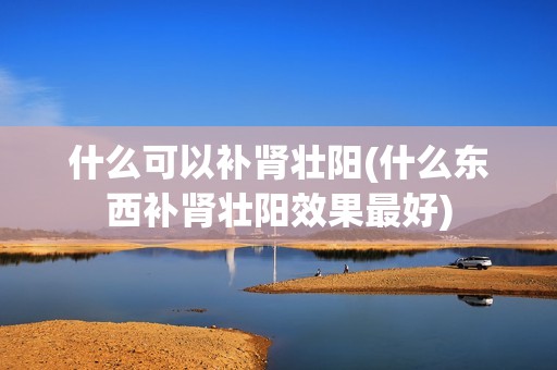 什么可以补肾壮阳(什么东西补肾壮阳效果最好)