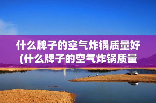 什么牌子的空气炸锅质量好(什么牌子的空气炸锅质量好用)