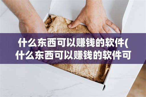 什么东西可以赚钱的软件(什么东西可以赚钱的软件可靠)