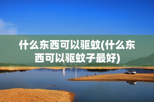 什么东西可以驱蚊(什么东西可以驱蚊子最好)