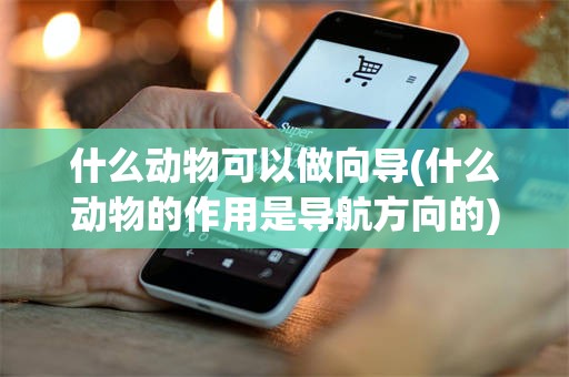 什么动物可以做向导(什么动物的作用是导航方向的)