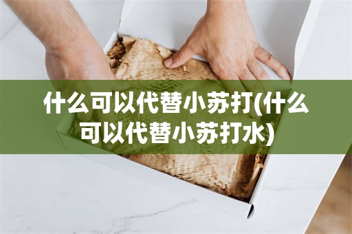 什么可以代替小苏打(什么可以代替小苏打水)